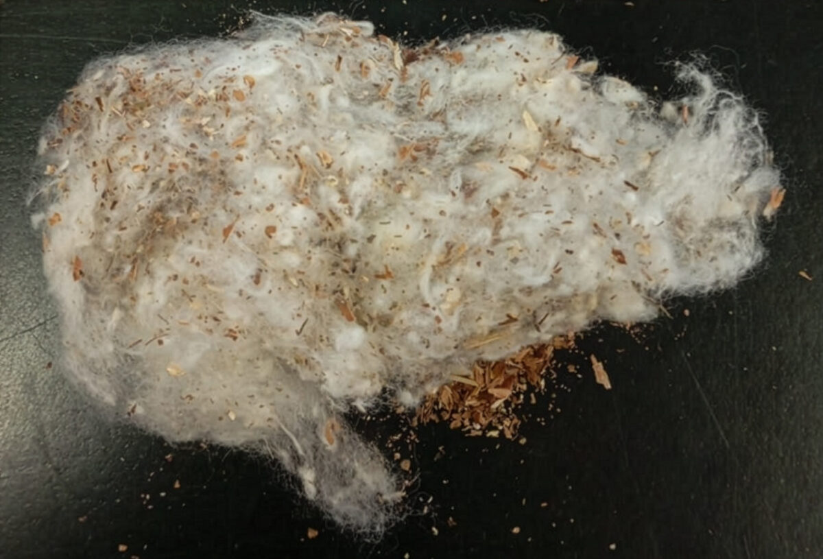 A associação publicou comunicado com orientações para mitigar o problema.